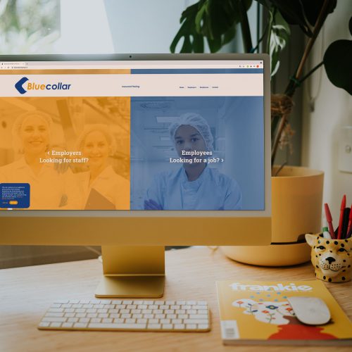 valuepack bluecollar nijmegen online marketing