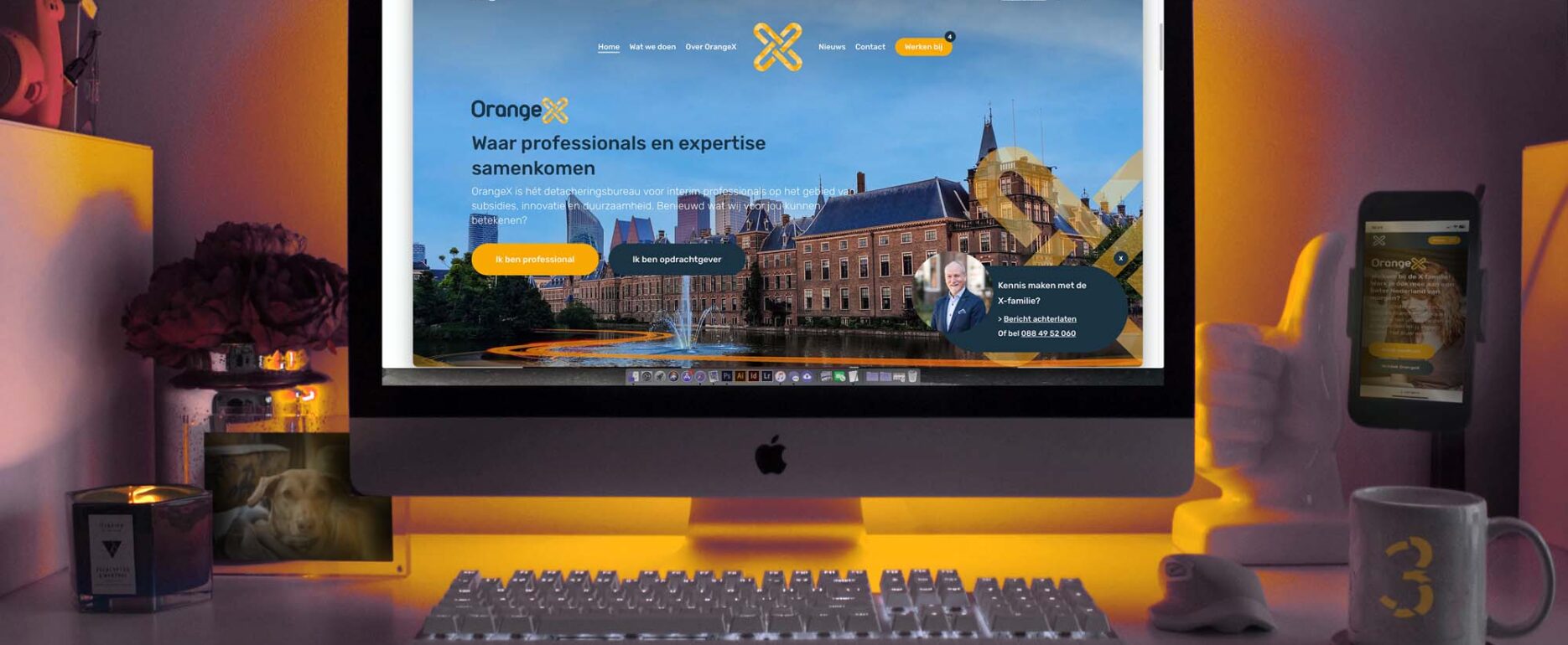 website orangex subsidie cases